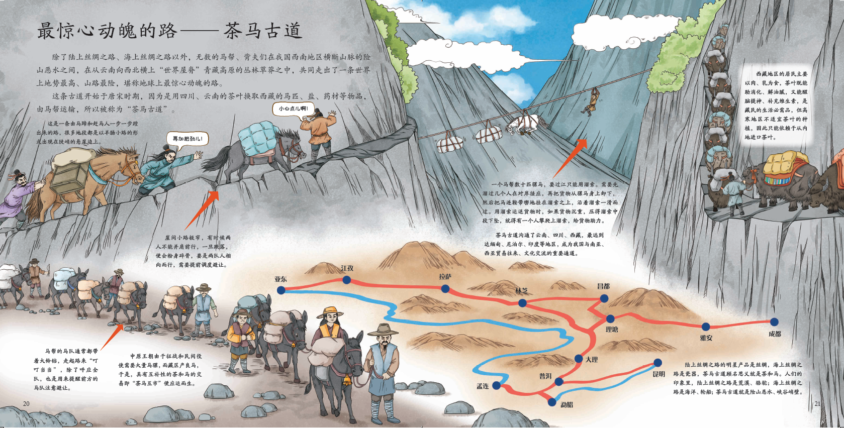 二四六开本期打一准确生肖,深度解析背后真相,探索隐藏的历史脉络