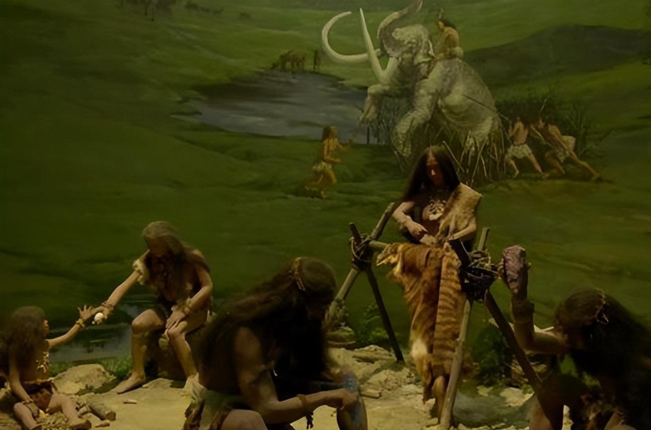 42982com资料查询域最新版本更新内容,挑战你的智慧,赢取丰厚奖励