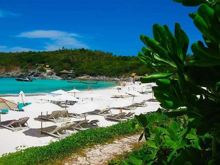 小诸葛资料免费公开,发现优质内容,享受独特体验