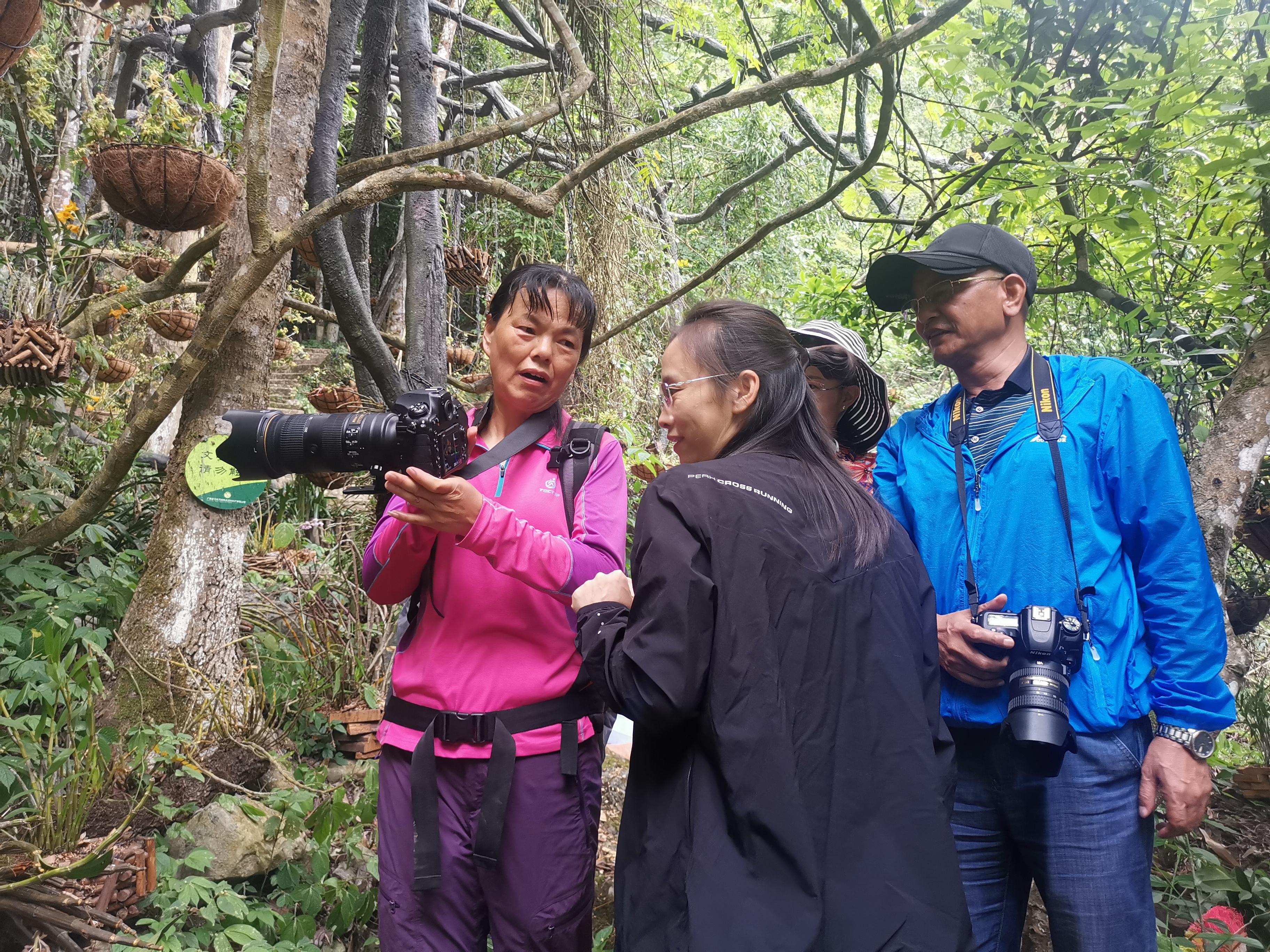 大三巴澳彩,精准分析,助你轻松掌握开奖规律,赢取大奖