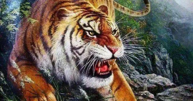 大三巴一肖一马期期准,权威资讯一网打尽,猛虎运势独家解析