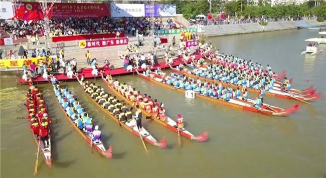 凤凰高手免费资料大全,掌握独家技巧,轻松赢取丰厚奖金