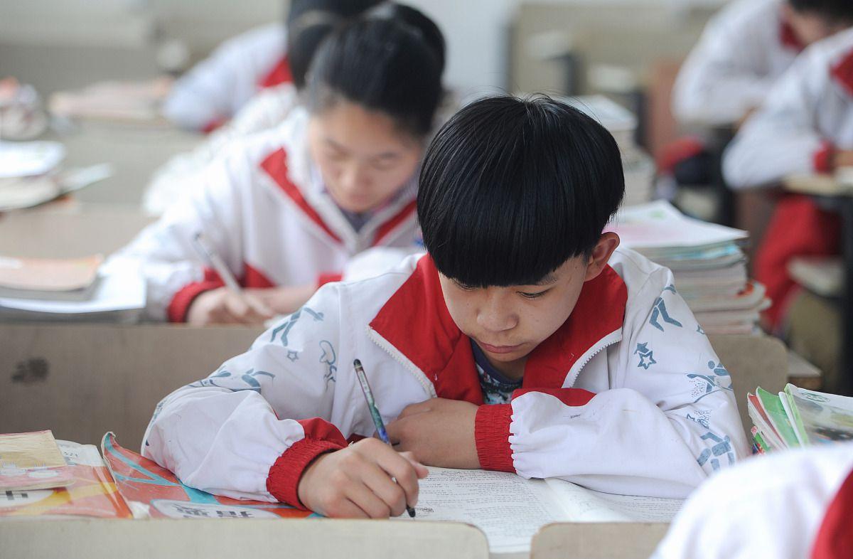 大三巴一肖一码一特600图片,精准答案揭秘,助你轻松掌握考试要点