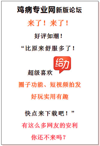 本港台同步现场搅珠直播,掌握这些秘诀,轻松提升你的论坛互动水平 本港台同步现场搅珠直播,掌握这些秘诀,轻松提升你的论坛互动水平