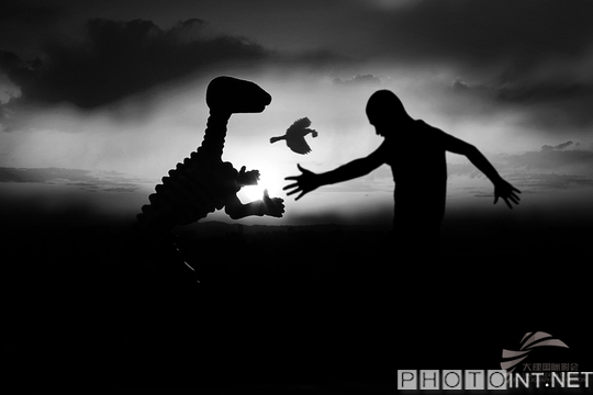 芳草资料大全免费:全面释义与解释,传说与现实交织,隐藏千年真相