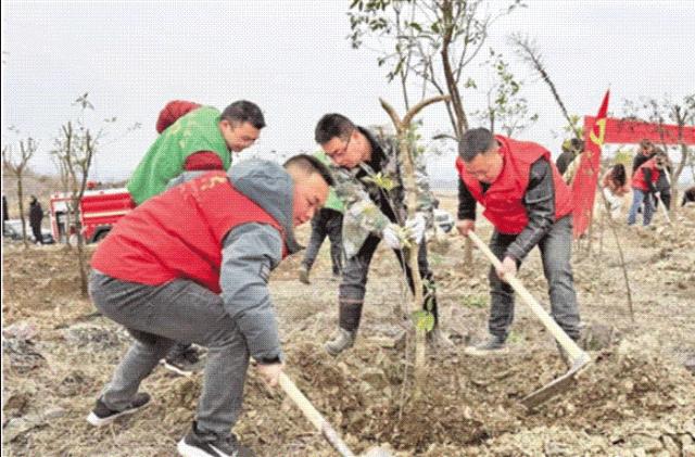 118论坛118资料大全官方彩图,海量资讯一网打尽,畅享便捷服务