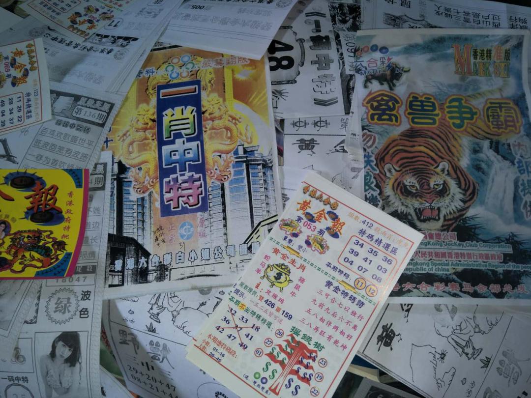 码报,畅享未来科技,探索无限可能