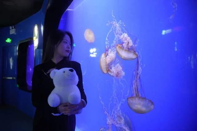 新澳门大三巴600图库,轻松参与赢大奖,每日更新趣味多