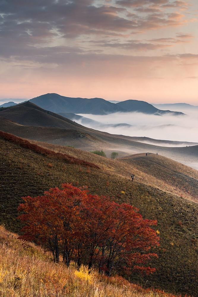 广东鹰坛高手003344比赛直播,精准预测,独家揭秘,助你轻松掌握财富密码