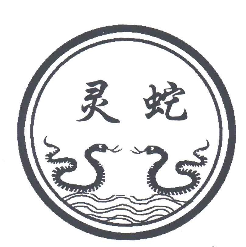 灵蛇网,游客必看,详细解析开放时间与地点