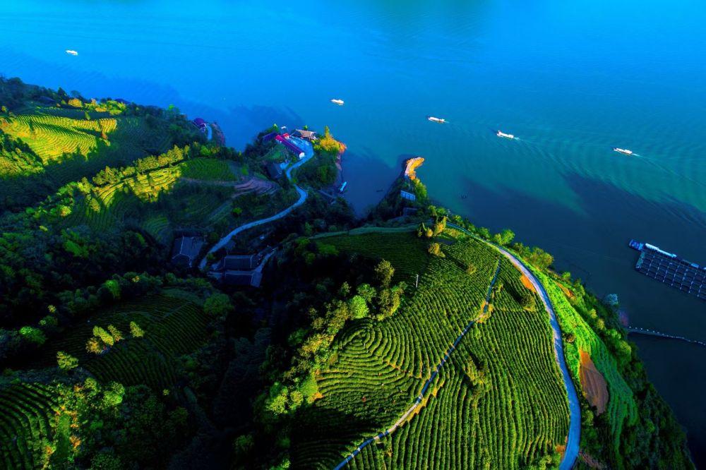 澳门开将结果开将纪录,探索其起源发展,揭秘背后故事