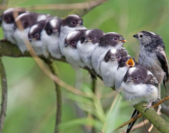 小鱼儿2站玄机2站免费观看,独家技巧分享,助你轻松赢大奖