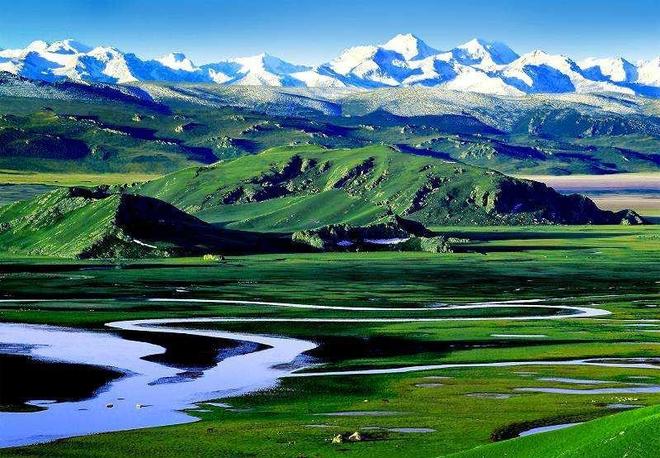 77777788888新疆是做什么的,精准分析号码走势,助你轻松中奖