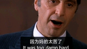 http/www.0049.cσm开奖结果查询,掌握核心智慧,领悟成功奥秘