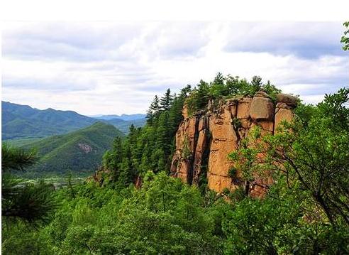 灵蛇的资料免费大全,最新预测,精准分析助你中大奖