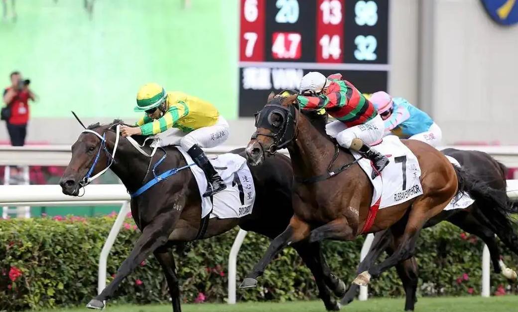香港赛马直播视频直播下载,助你轻松把握机会,赢取大奖 香港赛马直播视频直播下载,助你轻松把握机会,赢取大奖