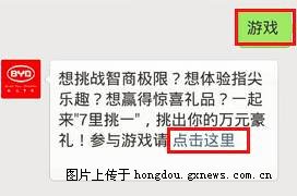 大三巴免费资料大全一大全,挑战你的智慧极限,赢取丰厚奖励