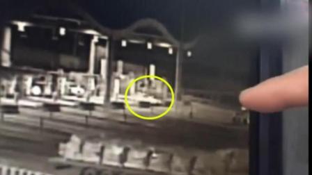 手机报码室现场报码室,精准推荐号码,助你轻松中奖