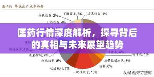 600图库免费资料2026下载,深度解析背后真相,探索隐藏的历史脉络
