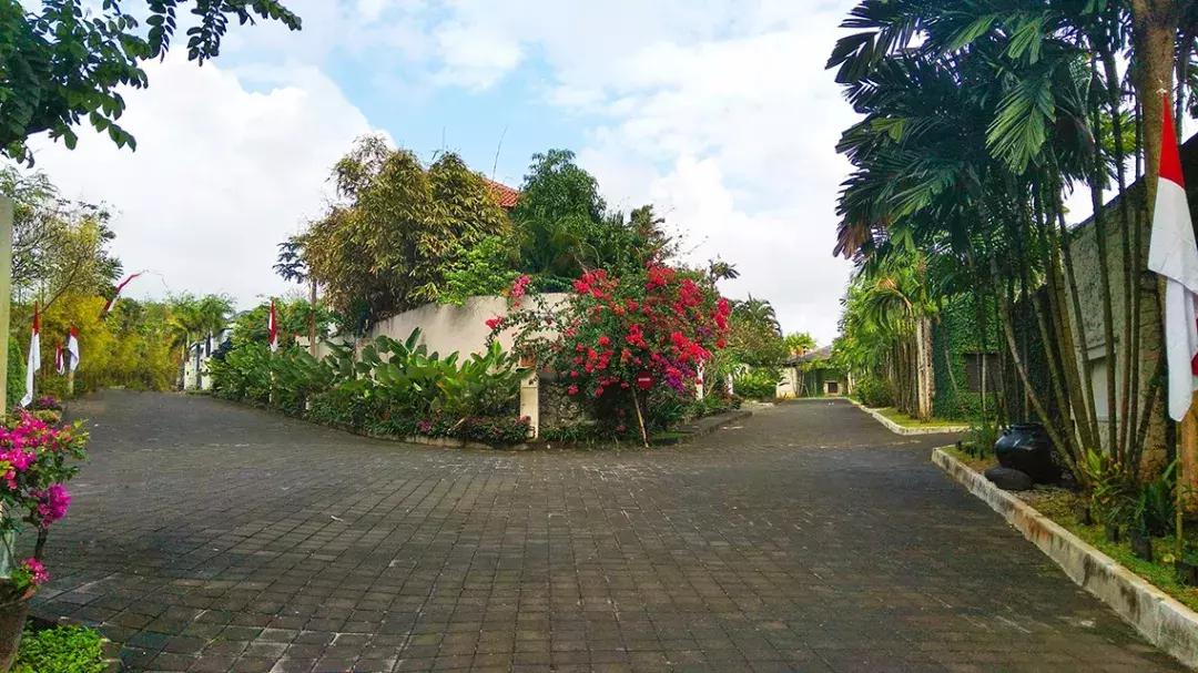 JPG印刷图库,探索独特魅力,体验非凡品质与创新设计