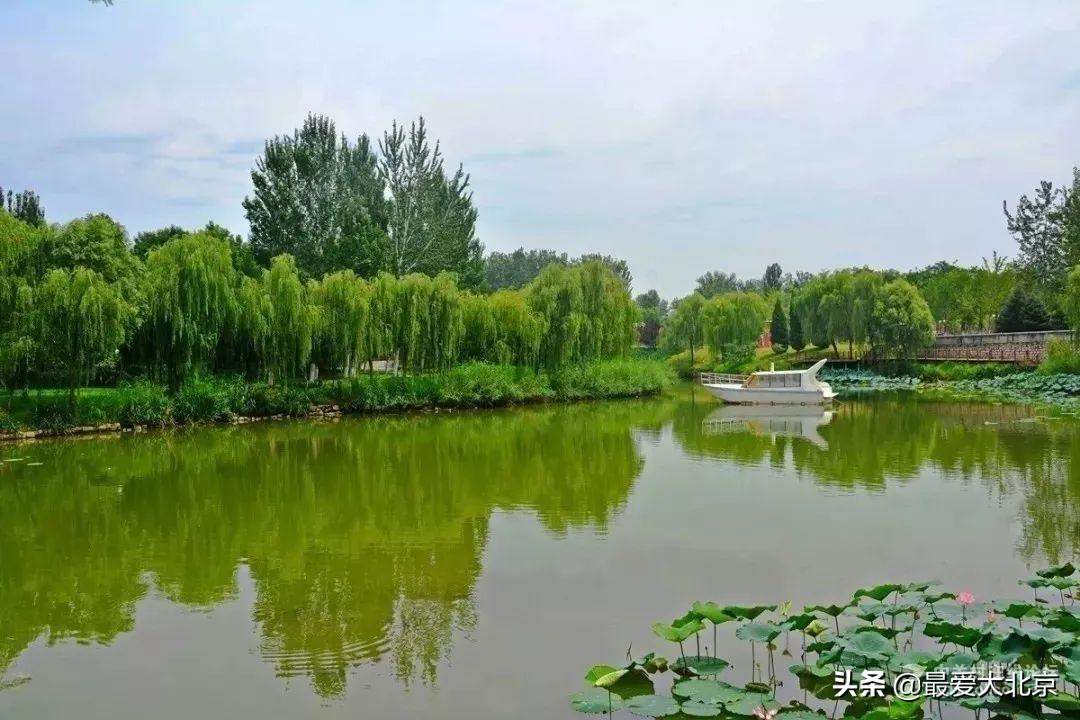 秋水论坛,精彩内容一网打尽,独家报道不容错过