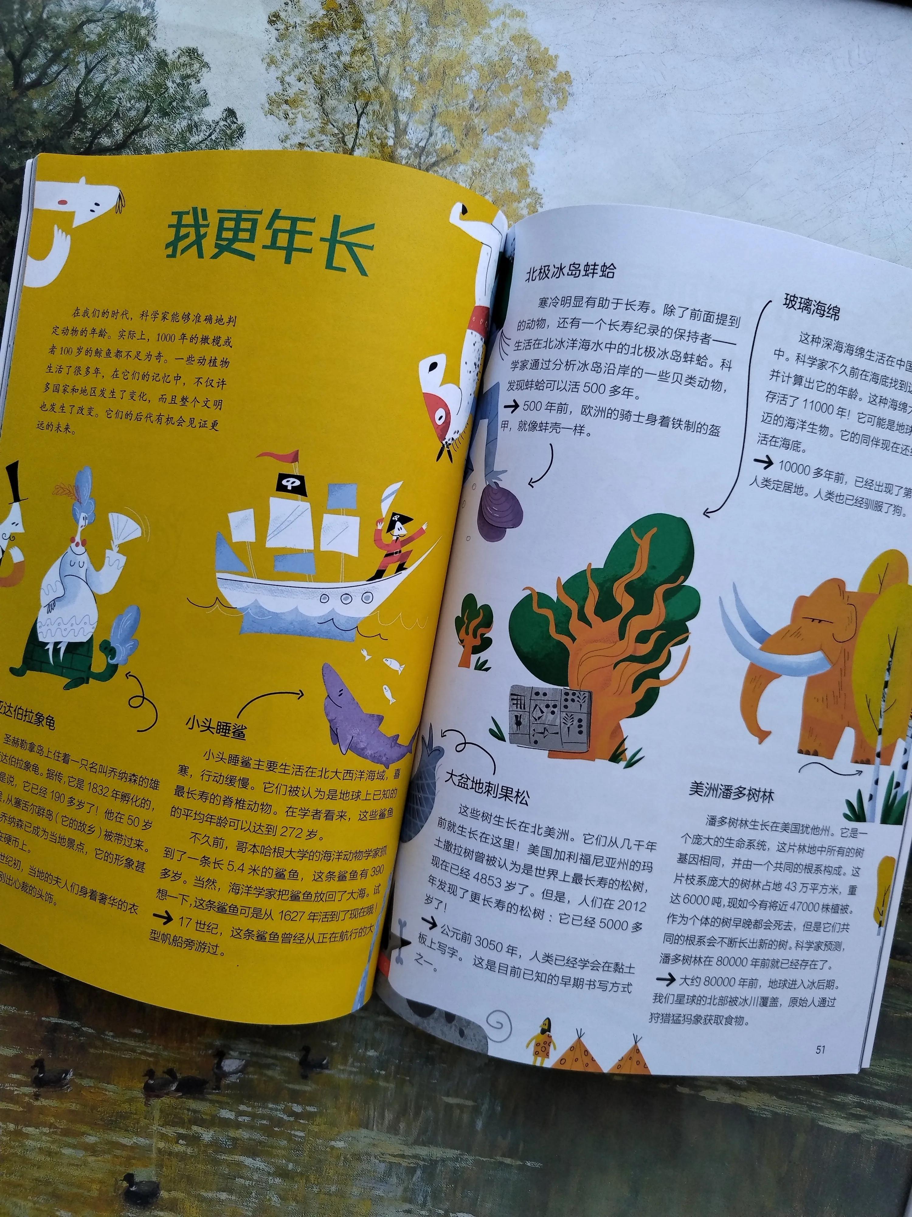 图库资料,解开谜底赢大奖,探索趣味谜语世界