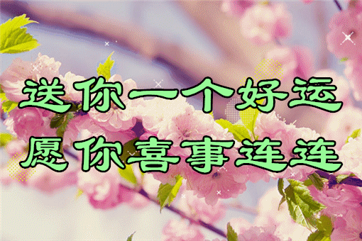 鬼谷子552222鬼谷子最新版更新内容,逗趣人生智慧,好运相伴每一天