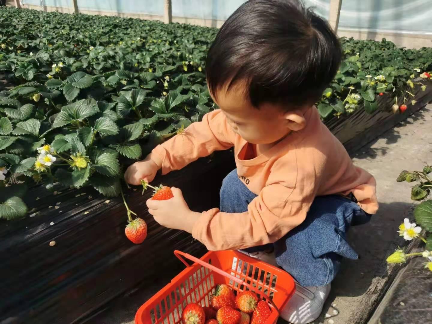 王中王100个经典时装秀,探索多彩世界,畅享欢乐时光