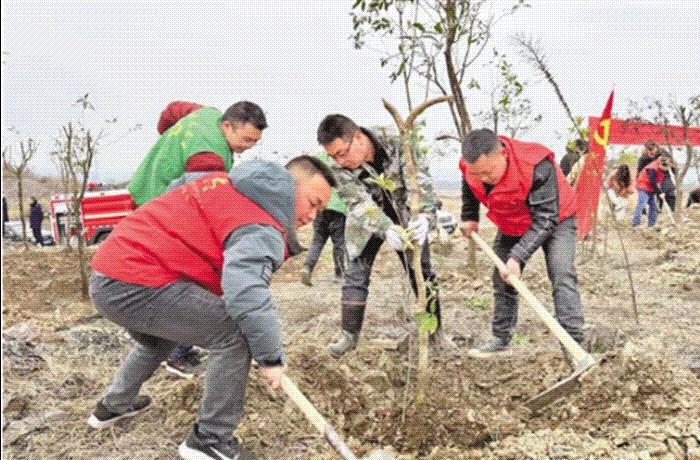 118论坛118资料大全官方彩图,海量资讯一网打尽,畅享便捷服务