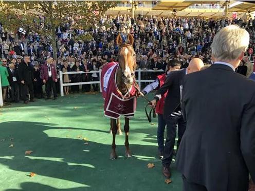 93040大港奥,掌握每日走势,赢取丰厚奖金