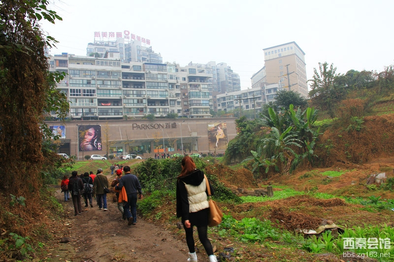 曾道道人资料免费大全2024,探索城市变迁足迹,揭秘珍贵档案与文化遗产