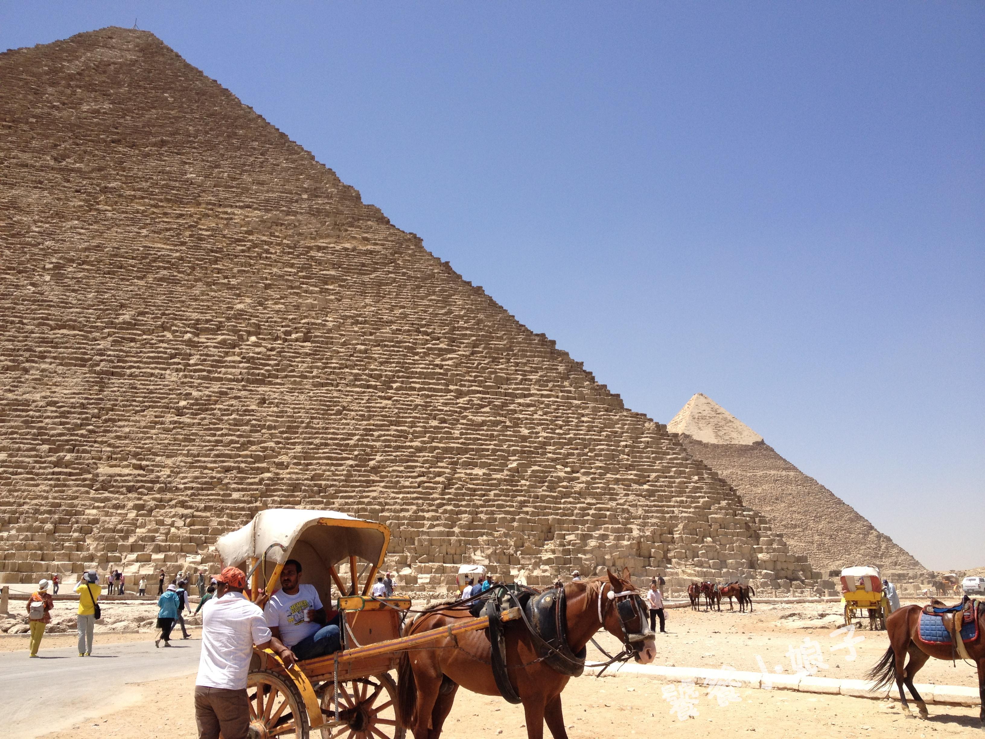 2026正版资料免费指南,探寻神秘数字背后的真相,古老传说与现代赛马的奇妙交织