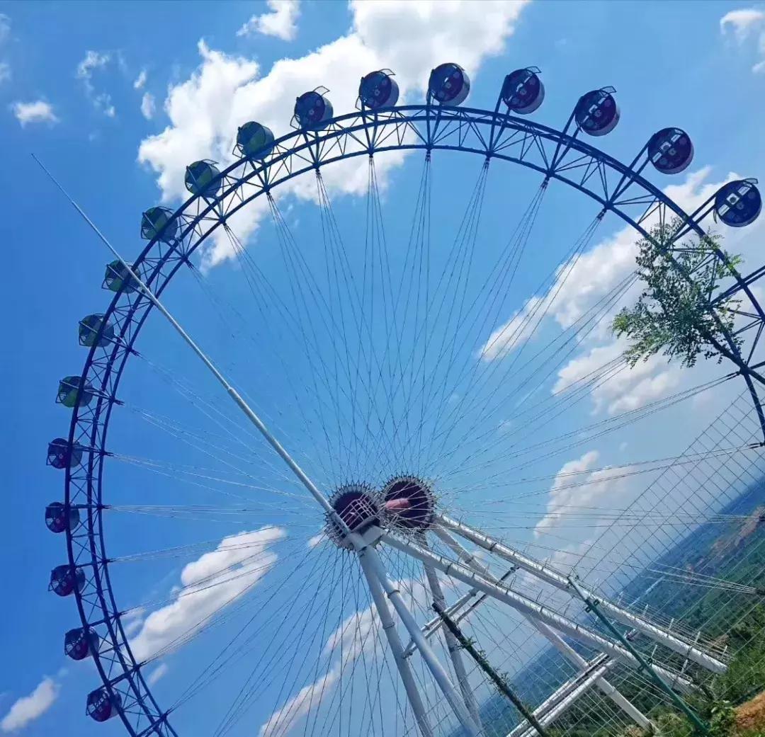 真道道人资料免费大全最新版本更新,精准预测分析,助你轻松赢大奖 真道道人资料免费大全最新版本更新,精准预测分析,助你轻松赢大奖