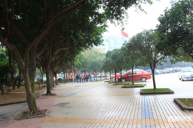 曾道道人资料免费大全2024,探索城市变迁足迹,揭秘珍贵档案与文化遗产