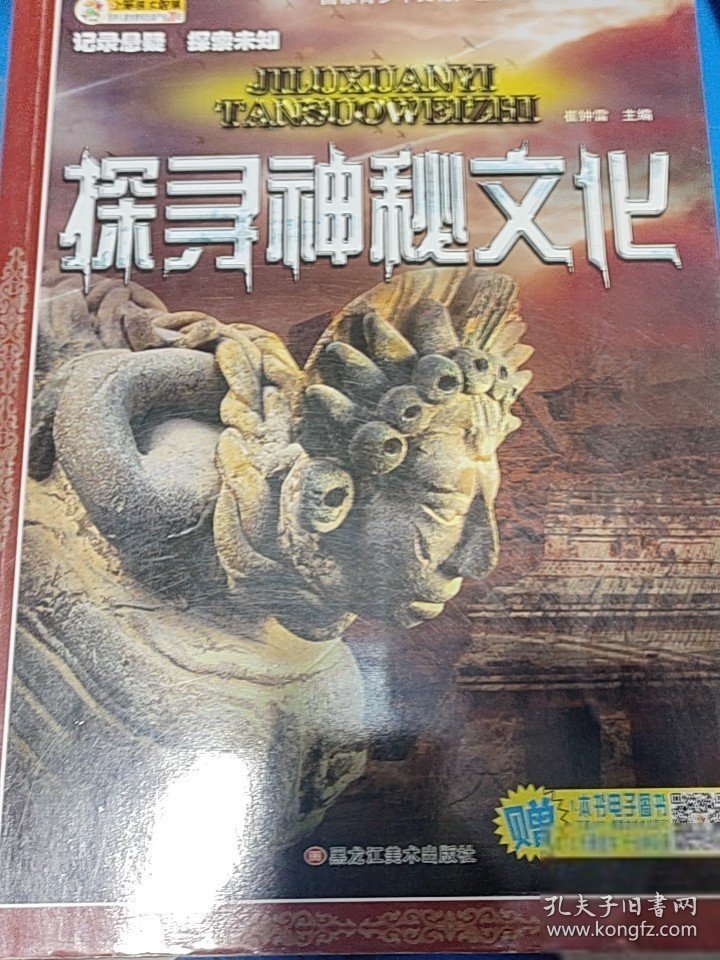 新澳门和澳门的区别是什么,揭秘其背后奥秘,探索神秘文化魅力