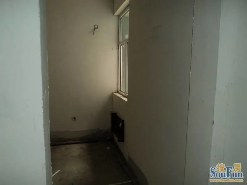 新门内部资料免费,精准分析,助你轻松中奖,赢取丰厚奖金