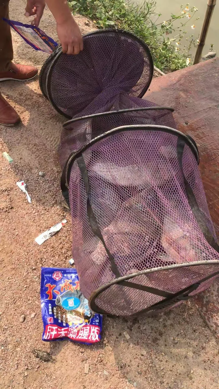 管家婆一肖一码,揭秘爆护秘诀,轻松提升渔获量