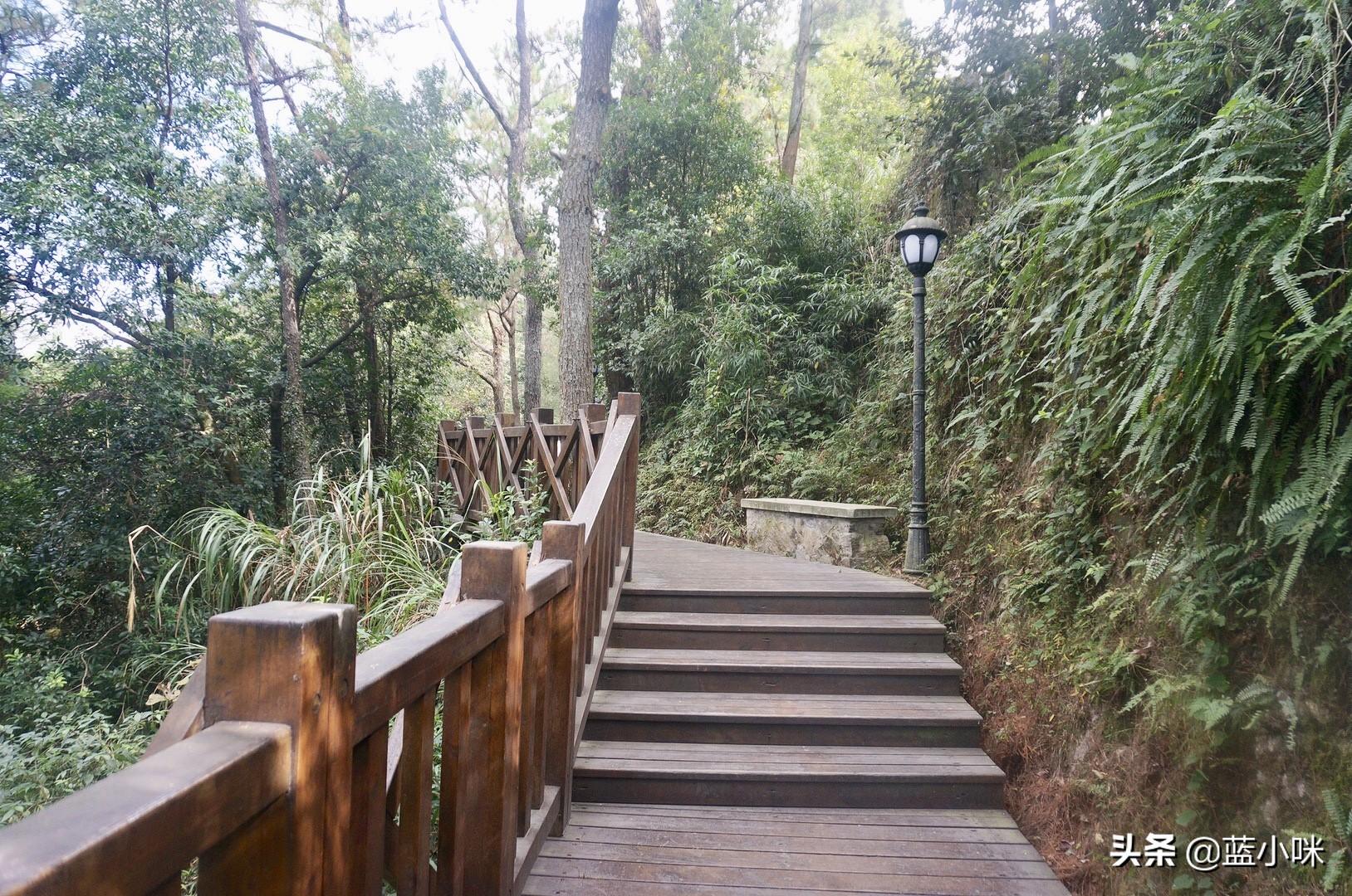 白小白姐传密书最新章节更新内容分,探寻旧时光,感受文化魅力与变迁