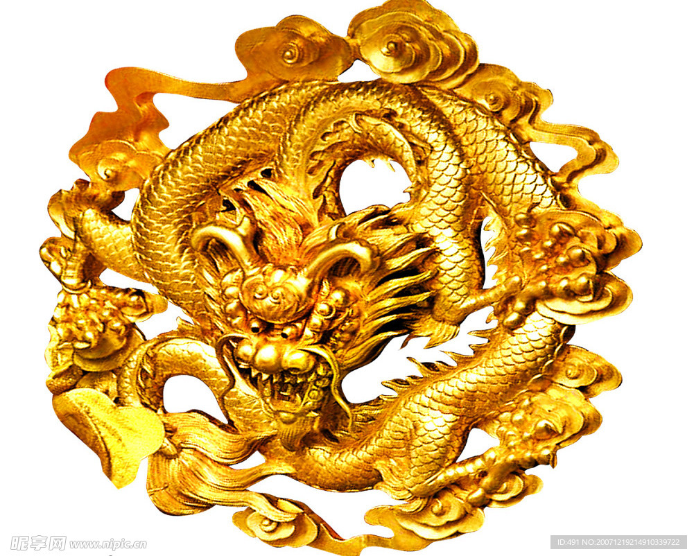 金龙资料版,获取最新信息,畅享学习乐趣