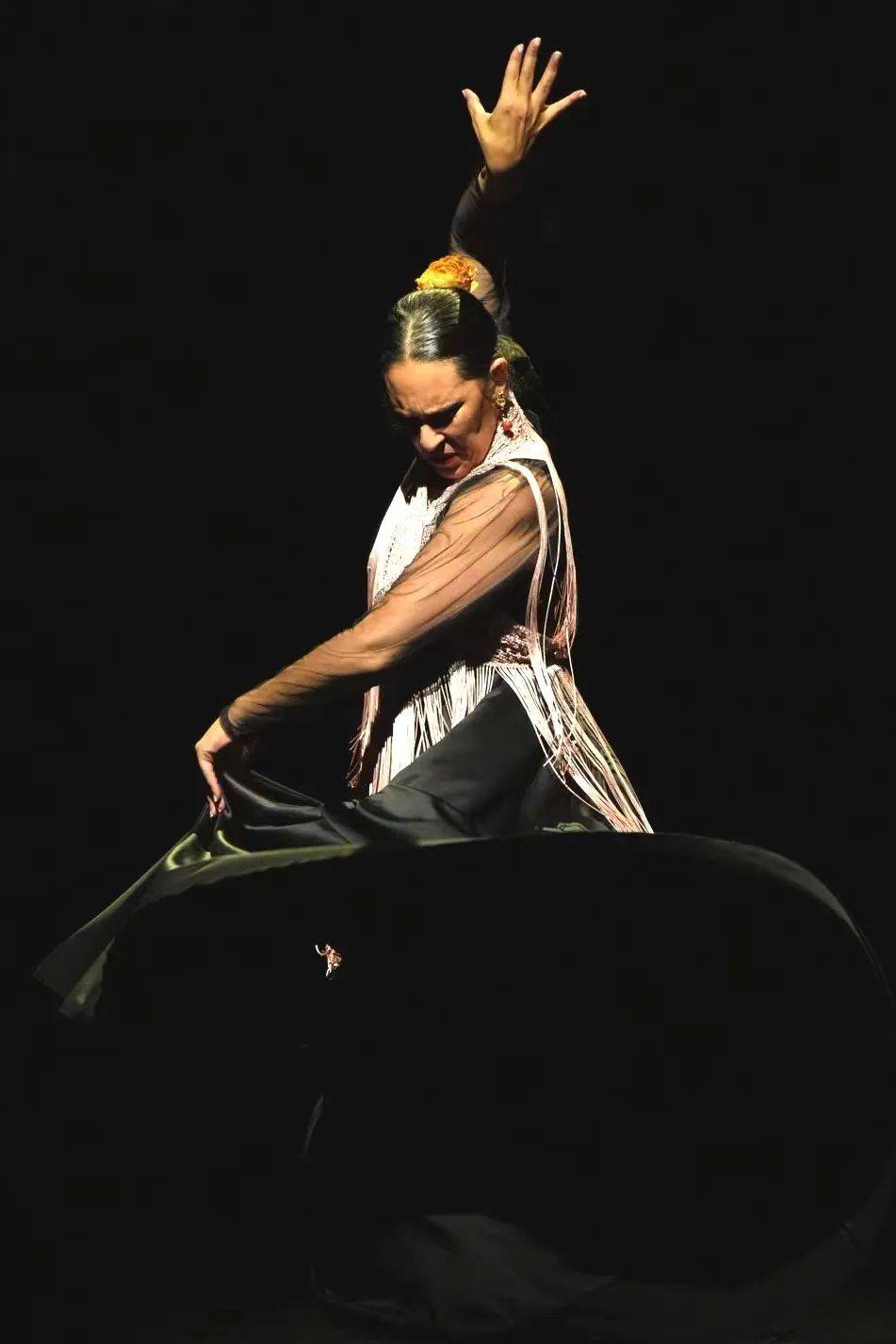 新澳一肖一码一特预测,探索澳门文化遗产,感受独特魅力