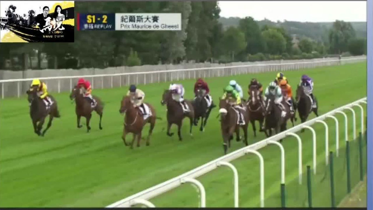 477777777现场直播,赛马预测技巧,最新赛事分析,赢取大奖攻略