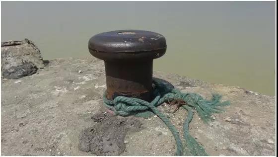 广东八二站资料,探索创新科技趋势,打造未来智能生活新方式