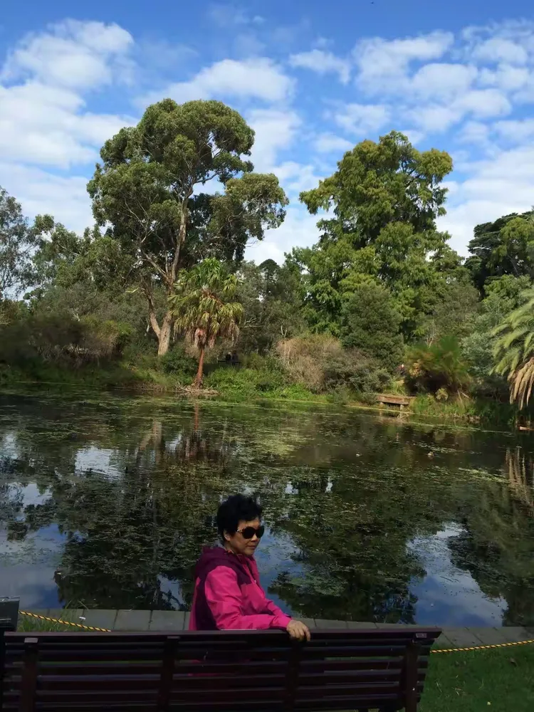 状元红高手全集免费观看,探索澳洲新西兰,体验绝美自然风光与独特文化