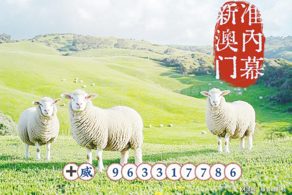 新澳门今晚预测开什么生肖,掌握中奖号码,赢取千万奖金