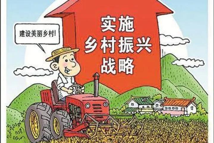 曾道道人资料免费大全,最新政策解读,投资者必看指南