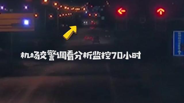 2026红姐彩色统一图库资料,全新剧情引爆期待,精彩不容错过,锁定观看