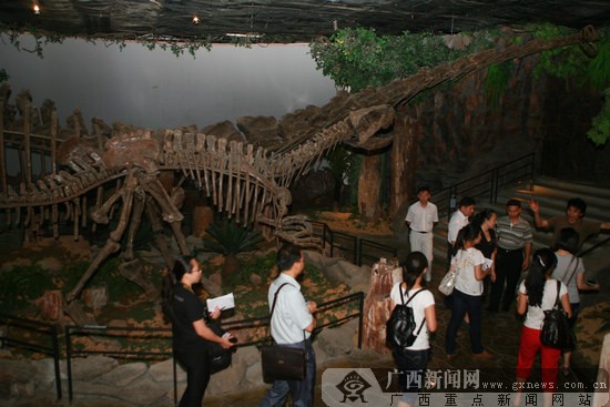 刘伯温预测准不准,回顾经典盛事,探寻历史足迹,感受独特文化魅力