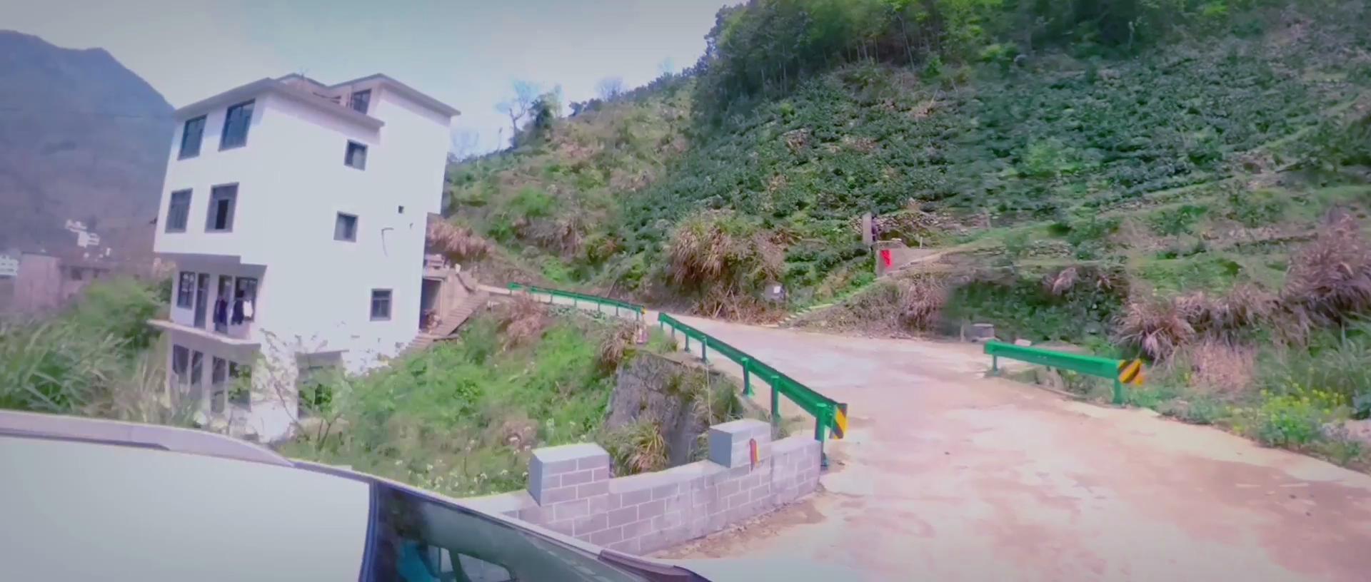 新门内部资料免费查询入口,精准分析一码中特技巧,助你轻松赢大奖