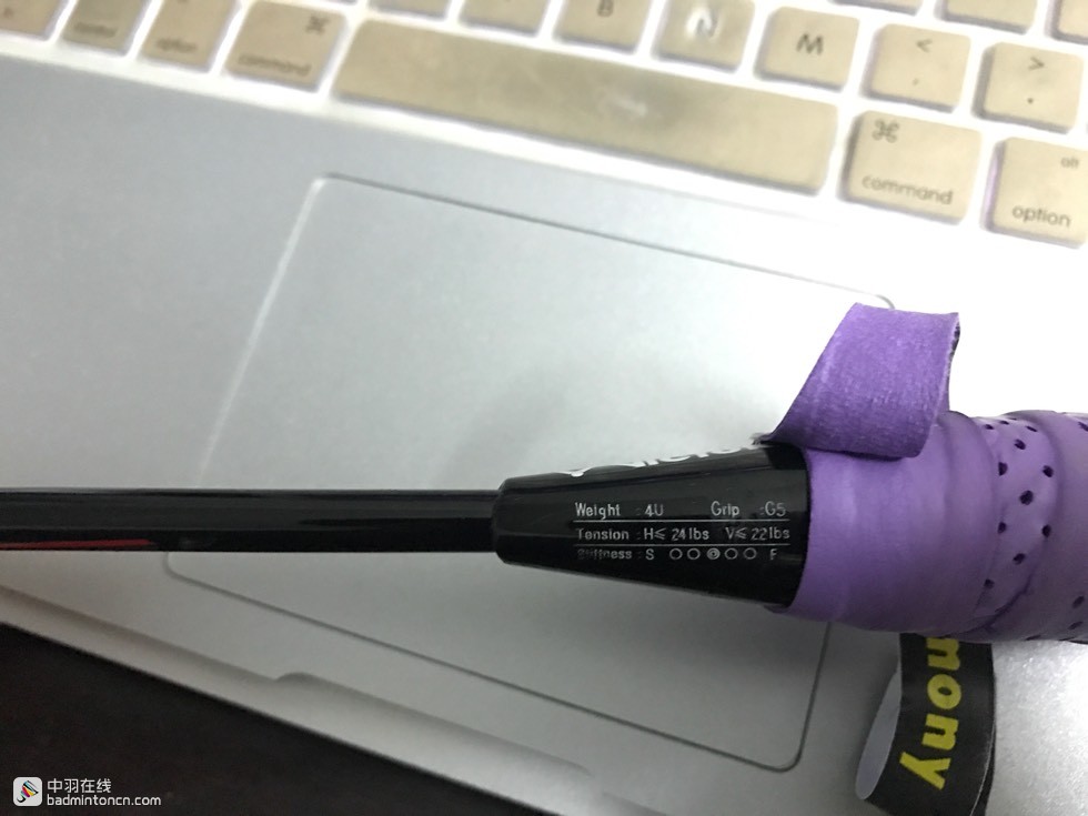 600TK.CoM下载安装最新版本,探索未来旅游胜地,感受中西文化交融