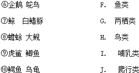 铁算算盘灵蛇网最新版本更新内容,精准预测中奖号码,助你轻松赢大奖